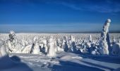 Percorso A piedi Posio - Riisin rääpäsy - Photo 4