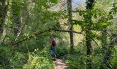 Tour Zu Fuß Bertem - Bertem variante - Photo 12