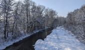 Randonnée A pied Dobrá - Naučná stezka Okolím Morávky ve Skalici - Photo 3