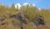 Trail Walking Farciennes - bois des corbeaux lambusart - Photo 2