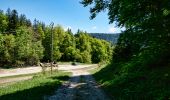 Randonnée Marche Saint-Agnan-en-Vercors - Col de Rousset - Le But de Nève - Photo 10