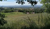 Tocht Stappen Chasselay - Le bois Chatelard - Photo 15