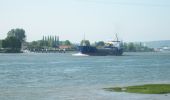 Tocht Stappen Yainville - 20230513-Yainville - Photo 1