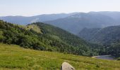 Trail Walking Le Valtin - Route des Roches. Schlucht-Hohneck - Photo 16