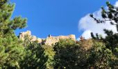 Randonnée Marche Duilhac-sous-Peyrepertuse - 20211008 Duilhac-Peyrepertuse-Galamus - Photo 13