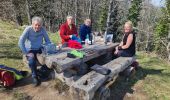 Trail Walking Soultzmatt - Rando Marcheurs ..20/03/2025.. - Photo 1