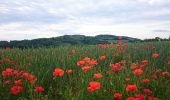 Randonnée Marche Chas - Chas_Puy_Pileyre - Photo 1