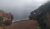 Randonnée Marche Théoule-sur-Mer - Ballade à la Pointe de l'Aiguille - Photo 14