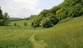 Percorso Marcia Visé - Visé, Natura des sites qui valent le détour Lg17 - Photo 11