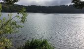 Tour Wandern Besse-et-Saint-Anastaise - Lac Pavin et Lac de Moncynère - Photo 5