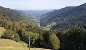 Tour Wandern Markirch - Crête granitique et forêts profondes - Photo 11