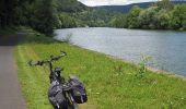 Tocht Te voet Collenberg - Burgberg-Ausblick - Photo 9