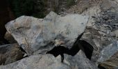 Trail Walking La Roche-des-Arnauds - SityTrail - Circuit de la combe du Duc - Photo 5
