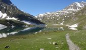 Randonnée Montgolfière Molines-en-Queyras - refuge Agnel. Abries grosse journee - Photo 8