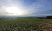 Tour Wandern Saint-Hubert - rando arville 7-12-2023 - Photo 4