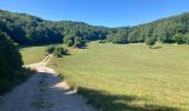 Trail Walking Ordonnaz - Ordonnaz  - Photo 4