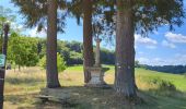 Tocht Stappen Meix-devant-Virton - Gerouville 060723 - Photo 6