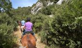 Trail Horseback riding Lauris - Provence 2025 J1 - Photo 2
