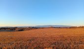 Trail Walking Valensole - plateau de valensole . ravin des cognets . ravin de la combe  - Photo 8