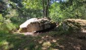 Tocht Stappen Saint-Nectaire - Menhir et Dolmen - Photo 3