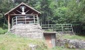 Randonnée Marche Geishouse - Ferme Haag - Lac Blallon - Le Grand Ballon - Photo 10