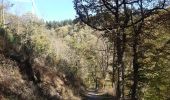 Trail Walking Mörsdorf - pont suspendu de Geierlay - Photo 8
