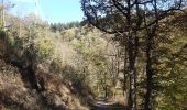 Excursión Senderismo Mörsdorf - pont suspendu de Geierlay - Photo 8