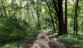 Trail Walking Chaumont-Gistoux - Sur les traces de la préhistoire  - Photo 14