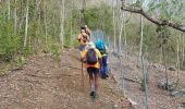 Trail Walking Les Anses-d'Arlet - Galoche - Esperance - Photo 10