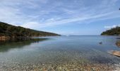 Trail Walking Hyères - Tour de l’île de Port Cros - Photo 3