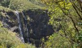 Tocht Trail Salazie - Mascareignes-aurere-11102022 - Photo 3