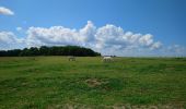 Tour Wandern Azay-le-Rideau - Azay-le-Rideau - l'Islette - 17km 220m 4h05 (20mn) - 2021 06 12 - Photo 1