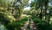 Trail Walking Saint-Félix-Lauragais - c2pa-lenclas-15/05 - Photo 2