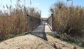 Trail Walking Corneilla-del-Vercol - thématique mo tescot du 18 02 2023 - Photo 9