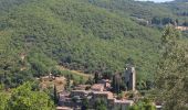 Trail On foot Gaiole in Chianti - IT-56 - Photo 3