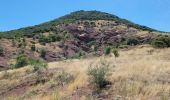 Trail Walking Le Puech - Les Vailhes-Celles - Photo 5