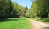 Excursión A pie Geiselbach - Schwarzer Fuchs, Rundwanderweg Geiselbach - Photo 1