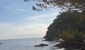 Trail Walking Hyères - Porquerolles  à pied  - Photo 1
