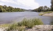 Randonnée Marche Châteauneuf-du-Rhône - Châteauneuf . Les Iles du Rhône 14km - Photo 2