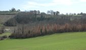 Excursión A pie Amelia - Percorso circolare Collicello - Percorso lungo - Photo 3