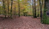 Trail Nordic walking Florenville - Herbeument 9km heen en terug  - Photo 5