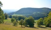 Tocht Te voet Gomadingen - Traufgang Wiesenrunde - Photo 2