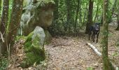 Excursión Senderismo Souzy-la-Briche - Rumba à Souzy la briche - Photo 2