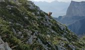 Excursión Senderismo Gresse-en-Vercors - traversée Sud nord du Grand Veymont  - Photo 5