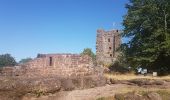 Tocht Stappen Saverne - Les 4 châteaux de Saverne - Photo 18