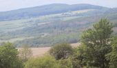 Trail On foot Sangerhausen - Kaiser-Otto-Höhenweg - Photo 4