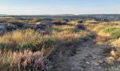 Tour Wandern Prévenchères - Gorges du Chassezac au départ de la Garde guérin  - Photo 2