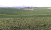 Trail Walking Heimsbrunn - Heimsbrunn  - Photo 1