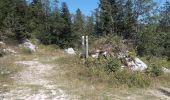 Percorso Marcia Autrans-Méaudre en Vercors - Autrans - Gève - Bec de l'Orient - La Buffe - Photo 17
