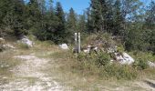 Randonnée Marche Autrans-Méaudre en Vercors - Autrans - Gève - Bec de l'Orient - La Buffe - Photo 17